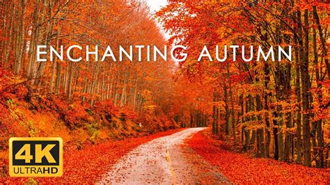 autumn piano music|relaxing music with fall scene.